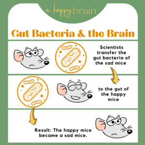 Cartoon summary of mouse gut bacteria study.