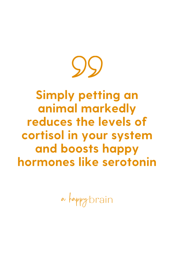 Petting an animal reduces cortisol.